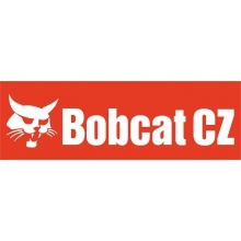 bobcat
